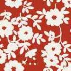 bloemen.tif