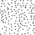 FLIES.tif