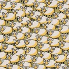 schapen geel.tif