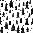 Trees - B&W by Andrea Lauren.jpg