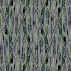 Dot-NA-0025.tif