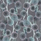 Dot-NA-0026.tif
