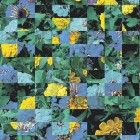 Dot-NA-0114.tif