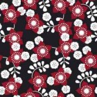 Dot-classics-65.tif