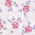 Dot-classics-71.tif