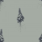 BonnyPattern lupines 2 bloem groene achtergrond