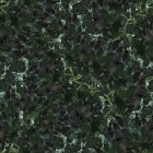 BonnyPatternJust like have started to jam now 