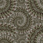 BonnyPattern-Quarter spinning.